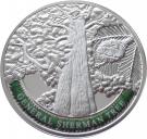100 Dram (General Sherman Tree)