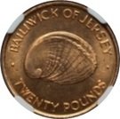 20 Pounds - Elizabeth II (Silver Wedding)