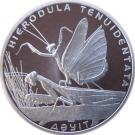 500 Tenge (Praying Mantis)