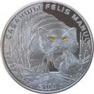 500 Tenge (Felis manul)