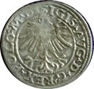 Halfgroat - Zygmunt II August (Lithuania)