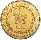 1 Pound - Victoria "Adelaide Pound" (South Australia Colony)