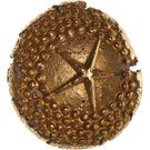 8 Shillings (1800 Proclamation coin - Indian Pagoda)