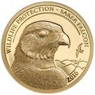 1000 Tögrög (Saker Falcon)