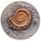 500 Tögrög (Ammonite)