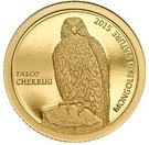 500 Tögrög (Saker falcon)