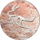 2000 Tögrög (Velociraptor)