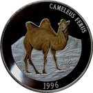 5000 Tögrög (Camel)