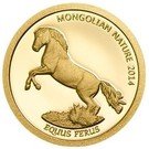 500 Tögrög (Wild horse)