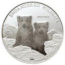 500 Tögrög (Snow Leopards)