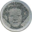 5 Euro - Beatrix (Netherlands Architecture)