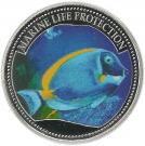5 Dollars (Surgeon Fish)