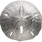 1 Dollar (Sand Dollar II)