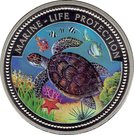1 Dollar (Turtle)