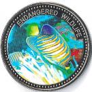 1 Dollar (Regal Angelfish)