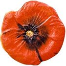 1 Dollar (Poppy)