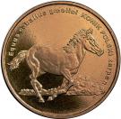 2 Złote (Polish horse - The Konik)