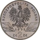 2 Złote (SUM (Silurus glanis))
