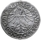 Półgrosz - Zygmunt II August (Wilno mint)