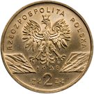 2 Złote (Ropucha Paskówka (Bufo calamita))