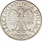 5 Złotych (Gdynia Seaport)