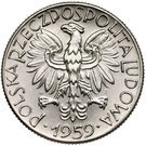 5 Złotych (Trial Strike)