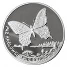 20 Złotych (Paż Królowej (Papilio machaon))