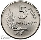 5 Groszy (Trial Strike)
