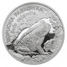 20 Złotych (Ropucha Paskówka (Bufo calamita))