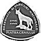 50 Lei (Lynx)