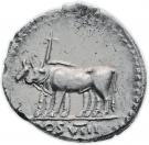 Denarius - Vespasianus (COS VIII)