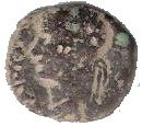 AE - Caligula (Nysa-Scythopolis mint)