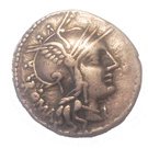 Denarius (Tullia: Marcus Tullius; ROMA / M•TVLLI)
