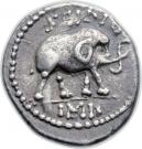 Denarius - Scipio (Q•METEL PIVS / SCIPIO IMP)