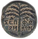 AE24 - Trajan (Sepphoris mint)