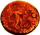 Follis Constantinus