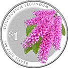 1 Dollar (Dendrobium Secundum)
