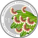 1 Dollar (Bulbophyllum Flabellum-Veneris)
