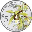 5 Dollars (Coelognye Rochussenii)