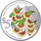 5 Dollars (Bulbophyllum Flabellum-Veneris)