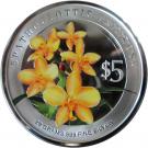 5 Dollars (Spathoglottis Primrose)