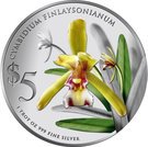 5 Dollars (Cymbidium Finlaysonianum)