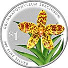 1 Dollar (Grammatophyllum Speciosum)