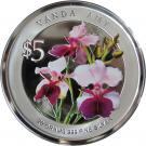 5 Dollars (Vanda Amy)