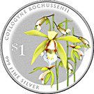 1 Dollar (Coelognye Rochussenii)