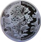 20 Roubles (Hypericum tetrapterum)
