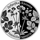 1 Rouble (Potentilla Rupestris)