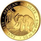 500 Shillings (Elephant)
