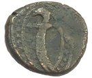 Falus - Shah Shuja al-Mulk (Kashmir mint)