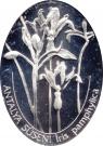 7 500 000 Lira (Iris pamphylica)